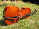 cello